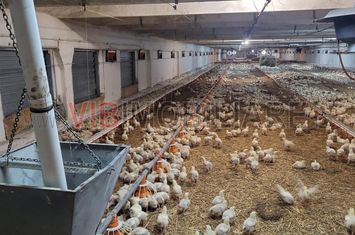 Ferma avicola functionala, judetul Bihor anunturi imobiliare Bihor