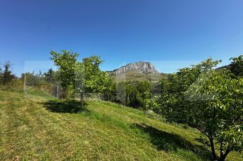 Teren de vanzare VALISOARA - Alba anunturi imobiliare Alba