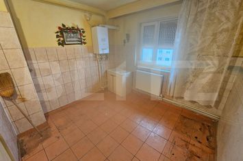 Apartament 2 camere de vanzare GOJDU - Hunedoara anunturi imobiliare Hunedoara
