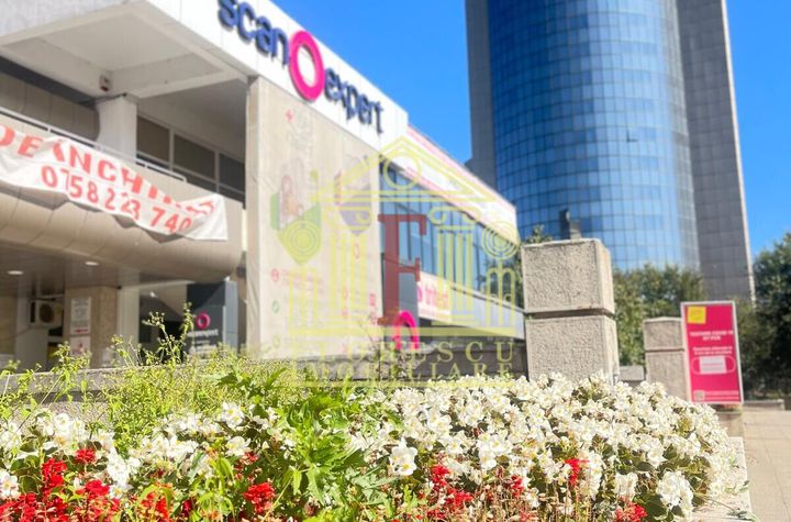 Apartament Premium cu 2 Camere – Central langa Hampton by Hilton! anunturi imobiliare Iasi