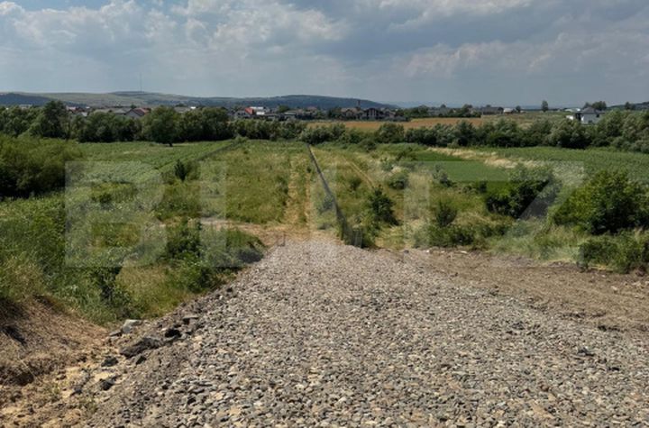 Teren de vanzare SUCEAVA - Suceava anunturi imobiliare Suceava