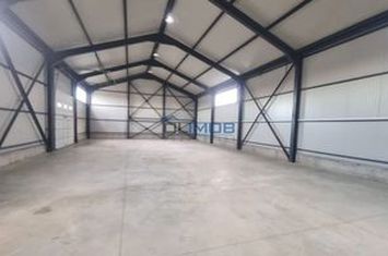 Spațiu industrial de inchiriat CIOLPANI - Bucuresti anunturi imobiliare Bucuresti