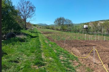 Parcele teren Paclisa, Jud. Alba anunturi imobiliare Alba