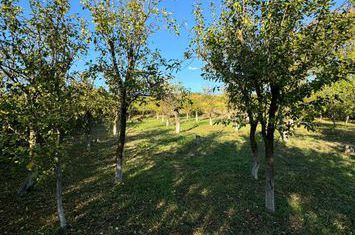 Teren de vanzare RUSI - Sibiu anunturi imobiliare Sibiu
