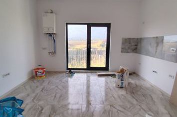 Casă - 4 camere de vanzare PROSELNICI - Iasi anunturi imobiliare Iasi