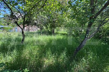 Teren de vanzare BEZDEAD - Dambovita anunturi imobiliare Dambovita