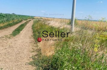 Teren Aroneanu langa zona de vile anunturi imobiliare Iasi