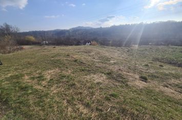 Teren de vânzare în Breaza - Zona Frăsinet anunturi imobiliare Prahova