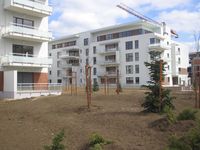 Baneasa Investments: Oprirea lucrarilor de infrastructura poate afecta intreaga zona de nord a Capitalei