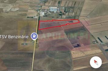 Teren 40ha Adunatii Copăceni | Industrial/ Logistic anunturi imobiliare Giurgiu