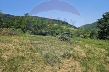 Teren  intravilan  Or. Saliste  Strada Livezii anunturi imobiliare Sibiu