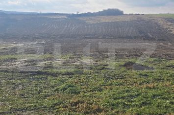 Teren de vanzare CHERIU - Bihor anunturi imobiliare Bihor