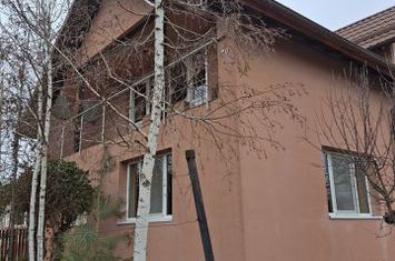 Vila P+1  Ploiesti - Paulestii Noi anunturi imobiliare Prahova