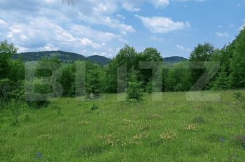 Teren de vanzare SCARISOARA - Alba anunturi imobiliare Alba