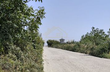 TEREN INTRAVILAN-996 MP-SOLSTITIULUI anunturi imobiliare Bucuresti