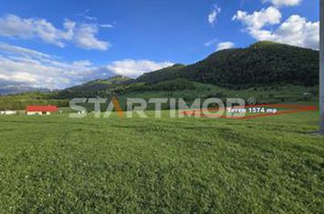 Teren intravilan Zarnesti anunturi imobiliare Brasov