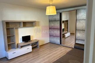 Vilă 1 cam de vânzare Bucuresti - Tineretului