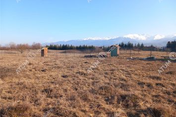 Teren Intravilan de vanzare AVRIG - Sibiu anunturi imobiliare Sibiu