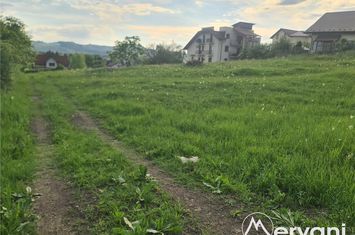 Teren Intravilan de vanzare MUSCEL - Prahova anunturi imobiliare Prahova
