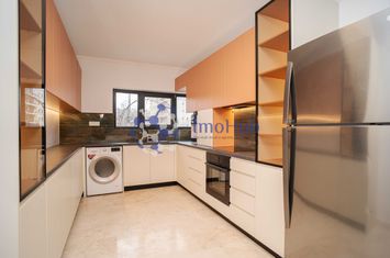 Vila 4 camere, Podul de Fier, 400 mp teren, mobilata! anunturi imobiliare Iasi