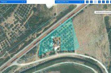 Teren agricol cu măslini 3.148 mp în Neos Xerias anunturi imobiliare Grecia