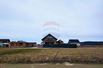 Teren intravilan de vânzare în Tălmaciu anunturi imobiliare Sibiu