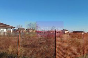 Săbăreni, teren intravilan construibil, cu utilităti in apropiere anunturi imobiliare Giurgiu