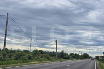 Teren de vanzare COSTESTII DIN DEAL - Dambovita anunturi imobiliare Dambovita