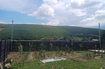 Casă - 3 camere de inchiriat EXTERIOR EST - Brasov anunturi imobiliare Brasov