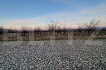 Teren de vanzare HARMAN - Brasov anunturi imobiliare Brasov