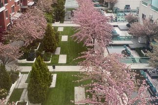 Apartament 4 camere de vânzare Bucuresti - Barbu Vacarescu