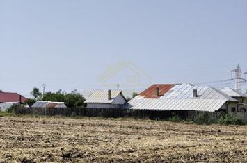 Teren Intravilan intrare com. Frumusani, acces direct sos Oltenitei in 200M anunturi imobiliare Calarasi