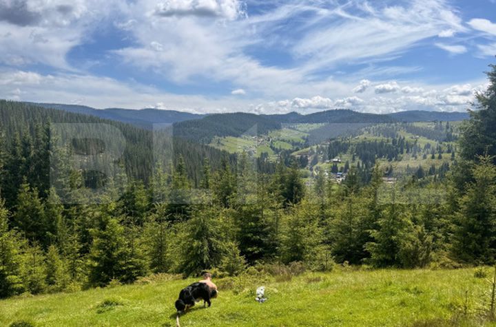 Teren de vanzare VALISOARA - Alba anunturi imobiliare Alba