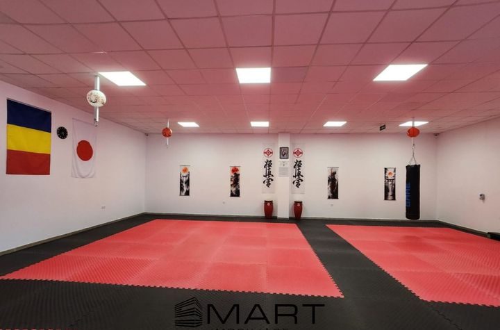 Birou de inchiriat MIHAI VITEAZU - Sibiu anunturi imobiliare Sibiu