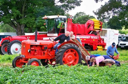 Cooperativele, soluţia relansării agriculturii româneşti. Conceptul nu este apreciat de cultivatorul român, deşi este susţinut de UE