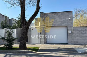 Vila impresionanta de vanzare, zona Lunei anunturi imobiliare Timis