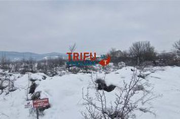 Teren Intravilan de vanzare CETATE - Alba anunturi imobiliare Alba