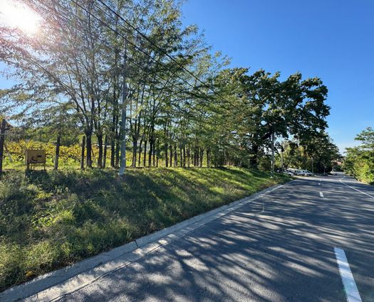 Teren Iasi, 560 mp