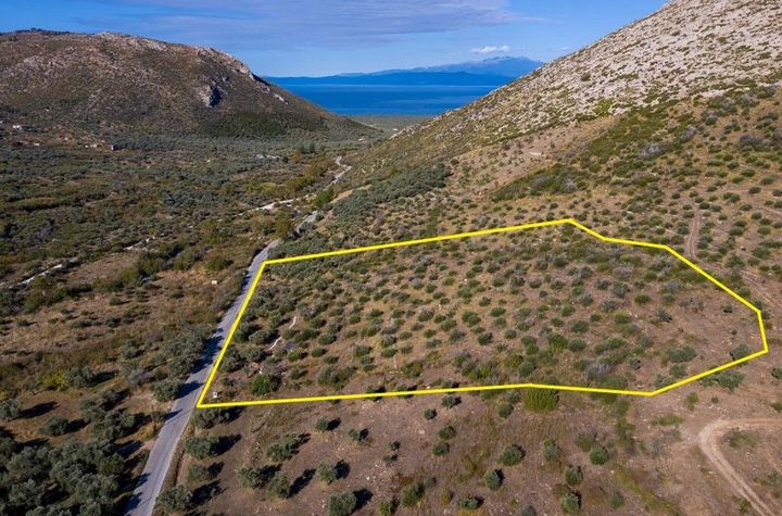 Teren construibil 9995,53 mp în Mikros Prinos anunturi imobiliare Grecia