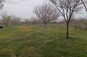 Teren intravilan investitie Padureni, 2 fronturi stradale anunturi imobiliare Timis