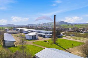 Teren Industrial de Vânzare 4.4 Ha - Zona industrială - Hârlău anunturi imobiliare Iasi