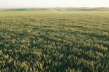 Fermă Agricolă Activă – 1.450 ha - Nord Est Romania anunturi imobiliare Suceava