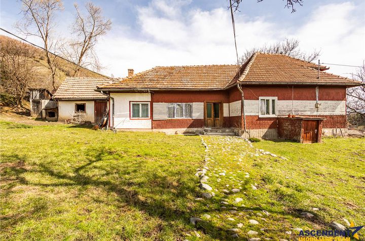 Teren Intravilan de vanzare EXTERIOR EST - Brasov anunturi imobiliare Brasov
