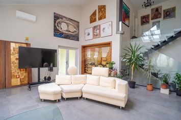 Casă / Vilă cu 10 camere, de vânzare. Todireni, Botoșani. anunturi imobiliare Botosani