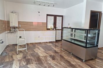 CASA P+1+POD-METROU DIMITRIE LEONIDA anunturi imobiliare Bucuresti