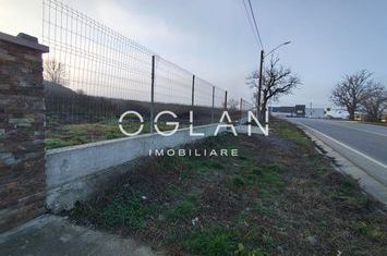 Teren de inchiriat SURA MARE - Sibiu anunturi imobiliare Sibiu