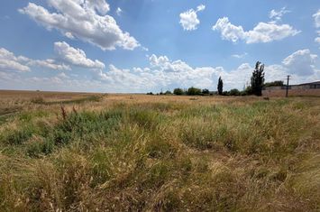 Teren de vanzare BUCOVAT - Dolj anunturi imobiliare Dolj