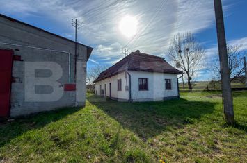 Spațiu industrial de vanzare ALESD - Bihor anunturi imobiliare Bihor