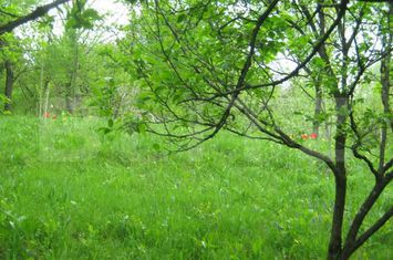 Teren de vanzare TARGOVISTE - Dambovita anunturi imobiliare Dambovita