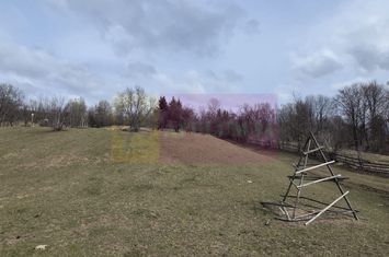 Teren intravilan 2200 mp de vanzare in Valea Doftanei anunturi imobiliare Prahova
